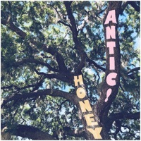 Image of Antic linking to their artist page due to link from them being at the top of the main table on this page