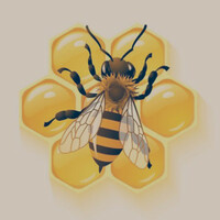 Thumbnail for the Caleb Johnson - Honey link, provided by host site