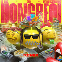 Thumbnail for the Cain - Hong Bé Ơi (Pi Seven Remix) link, provided by host site