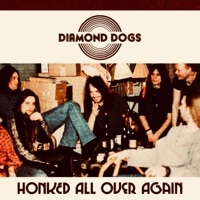 Thumbnail for the Diamond Dogs - Honked All over Again link, provided by host site