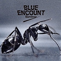 Image of BLUE ENCOUNT linking to their artist page due to link from them being at the top of the main table on this page