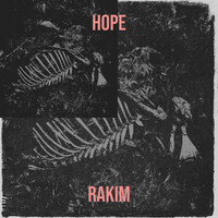 Image of Rakim linking to their artist page due to link from them being at the top of the main table on this page