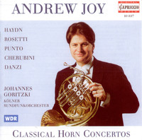 Thumbnail for the Franz Danzi - Horn Concerto in E Major: I. Allegro link, provided by host site