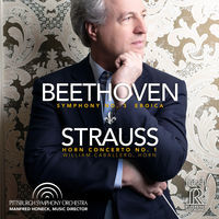 Thumbnail for the William Caballero - Horn Concerto No. 1 in E-Flat Major, Op. 11, TrV 117: I. Allegro link, provided by host site