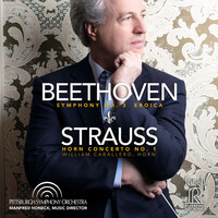 Thumbnail for the Richard Strauss - Horn Concerto No. 1 in E-Flat Major, Op. 11, TrV 117: II. Andante link, provided by host site