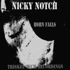 Thumbnail for the Nicky Notch - Horn Falls link, provided by host site