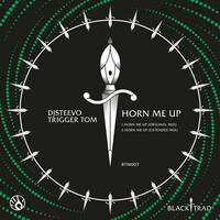 Thumbnail for the DJ Steevo - Horn Me Up link, provided by host site