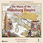 Thumbnail for the Václav Luks - Horn Solo: Interludium [16th Century] link, provided by host site