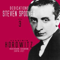 Thumbnail for the Steven Spooner - Horowitz, Vol. 3 link, provided by host site