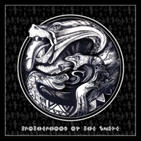 Image of Soukervalii linking to their artist page due to link from them being at the top of the main table on this page