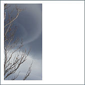Thumbnail for the Domenico Sciajno - Horror Vacui link, provided by host site