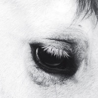 Thumbnail for the Creepoid - Horse Heaven link, provided by host site