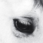 Thumbnail for the Creepoid - Horse Heaven link, provided by host site