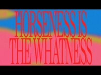 Thumbnail for the FONTAINES D.C. - Horseness is the Whatness link, provided by host site