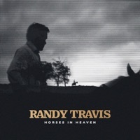 Thumbnail for the Randy Travis - Horses In Heaven link, provided by host site