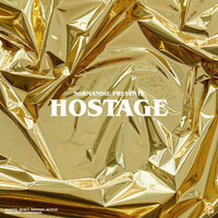 Thumbnail for the Normandie - Hostage link, provided by host site
