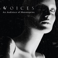 Thumbnail for the Voices - Hostile Confrontations link, provided by host site