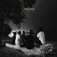 Thumbnail for the Jevon - Hostile link, provided by host site
