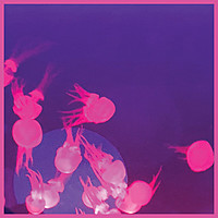 Image of Nite Fleit linking to their artist page due to link from them being at the top of the main table on this page
