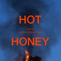Thumbnail for the Tiësto - Hot Honey link, provided by host site