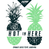 Thumbnail for the Danilo Seclì - Hot in Here link, provided by host site