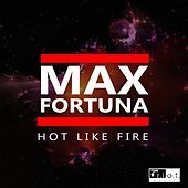 Thumbnail for the Max Fortuna - Hot Like Fire link, provided by host site