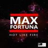Thumbnail for the Max Fortuna - Hot Like Fire link, provided by host site