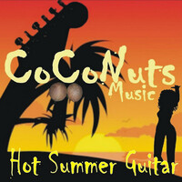 Thumbnail for the Coconuts - Hot Summer Guitar link, provided by host site
