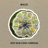 Thumbnail for the Wilco - Hot Sun Cool Shroud link, provided by host site