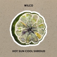Thumbnail for the Wilco - Hot Sun Cool Shroud link, provided by host site