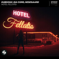 Thumbnail for the Dubdogz - Hotel Fellatio link, provided by host site