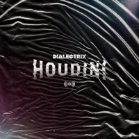 Image of Dialectrix linking to their artist page due to link from them being at the top of the main table on this page
