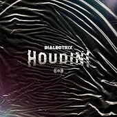 Thumbnail for the Dialectrix - Houdini link, provided by host site