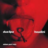 Thumbnail for the Dua Lipa - Houdini (Adam Port Mix) (Adam Port Mix) link, provided by host site