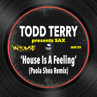 Thumbnail for the Todd Terry - House is a Feeling (Paola Shea Remix) link, provided by host site