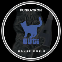 Thumbnail for the Funkatron - House Muzik link, provided by host site