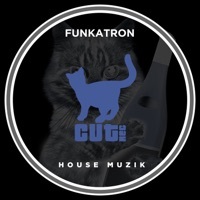 Thumbnail for the Funkatron - House Muzik link, provided by host site