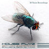 Thumbnail for the Seth Vogt - Houseflyz link, provided by host site