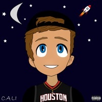 Thumbnail for the Cali - Houston link, provided by host site