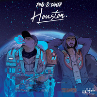 Thumbnail for the PINS - Houston link, provided by host site