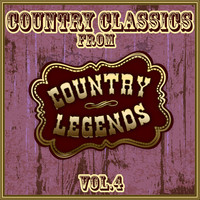 Thumbnail for the Skeeter Davis - How Could I Make You Love Me link, provided by host site