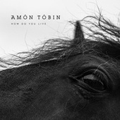 Thumbnail for the Amon Tobin - How Do You Live link, provided by host site