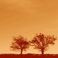 Thumbnail for the Jon Allen - How It Feels link, provided by host site