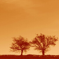 Thumbnail for the Jon Allen - How It Feels link, provided by host site