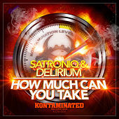 Thumbnail for the Delerium - How Much Can You Take link, provided by host site