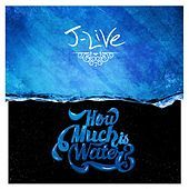 Thumbnail for the J-Live - How Much Is Water? link, provided by host site