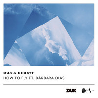 Thumbnail for the Dux - How to Fly link, provided by host site