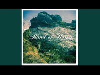 Thumbnail for the Band of Horses - How To Live link, provided by host site