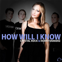 Thumbnail for the Crystal Rock - How Will I Know - 2Complex Remix link, provided by host site