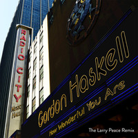 Thumbnail for the Gordon Haskell - How Wonderful You Are link, provided by host site